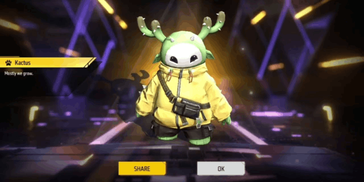 Mengenal Pet Kactus, Filosofi dan Desain