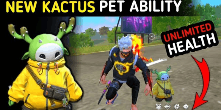 Sinergi Karakter Terbaik dengan Pet Kactus