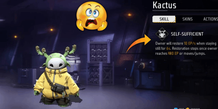 Tips dan Trik Memaksimalkan Potensi Kactus