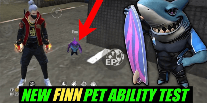Kombinasi Karakter Terbaik untuk Pet Finn