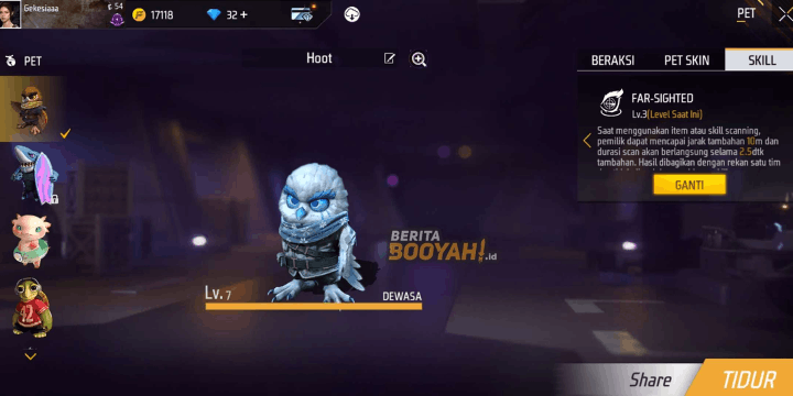 Siapa Itu Pet Hoot